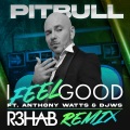 I FEEL GOOD (R3HAB REMIX)