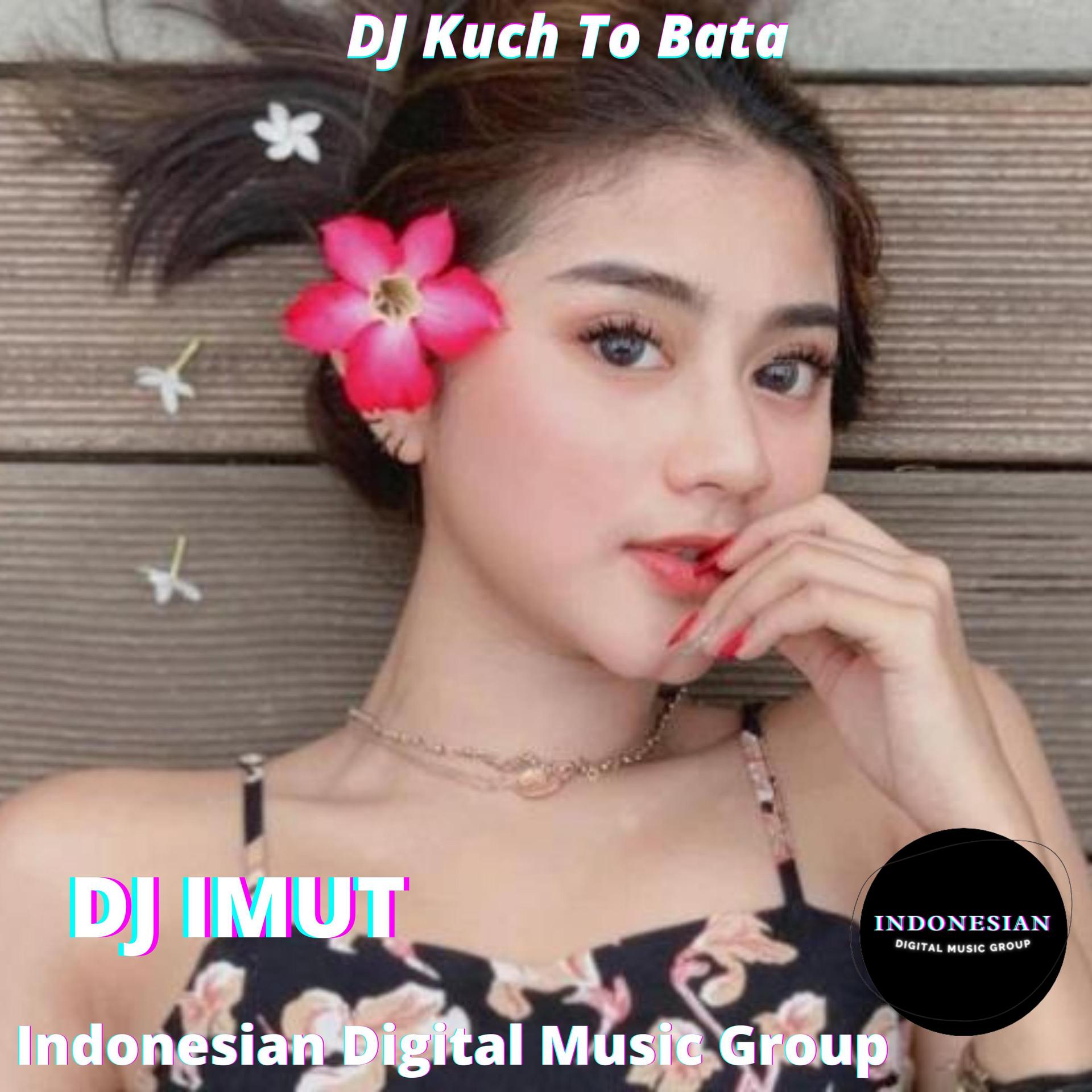 Dj Imut - DJ Kuch To Bata