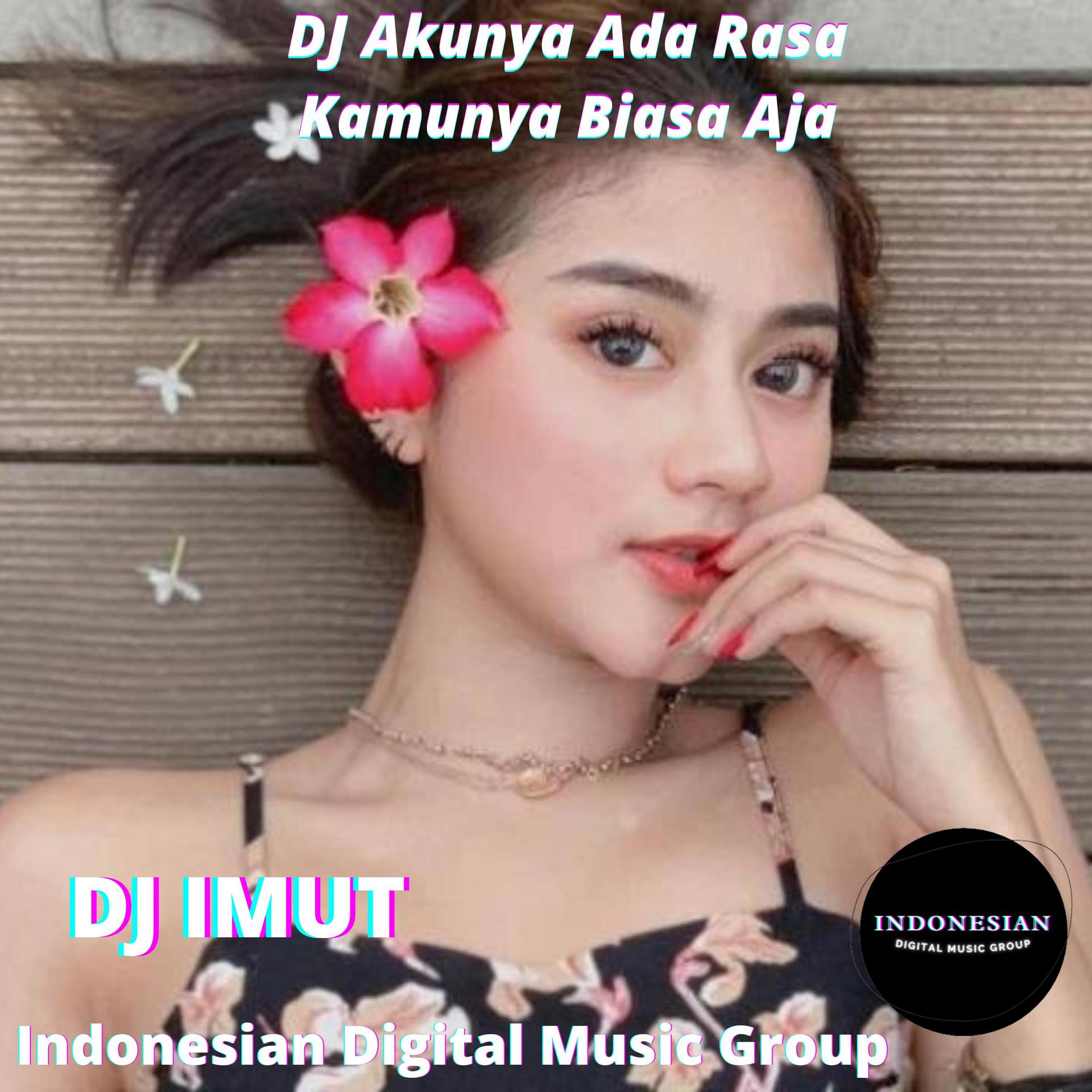 Dj Imut - DJ Akunya Ada Rasa Kamunya Biasa Aja