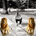 BILLY BROADWAY、Marco Checkmate - Soulja Step (Explicit)
