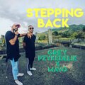 Mavo、Gre'y Pzykedelik - Stepping Back (feat. Mavo)