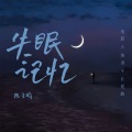 陈子晴 - 失眠记忆