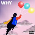 Dojo - WHY (Explicit)