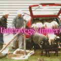 Richi、JONI - Unterwegs (immer)