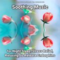 Relaxing Music by Dominik Agnello、Relaxing Spa Music、Yoga - Soothing Music for Night Sleep and Stress Relief Pt. 22