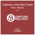 VetLove - Voice