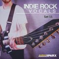 mark taylor - Shine