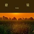 夏萤变奏
