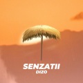 SENZATII (feat. angeles)(Explicit)