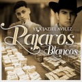 Y$、Jaziel Avilez - Pajaros Blancos