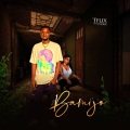Tflix、P-Voice - Bamijo