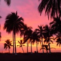 Dj Habibi、Stepan Lysov - Best deep house