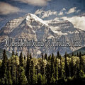 Yoga Tribe - Rebalance Yourself