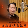 Aloha heja he+大丈夫+真的汉子