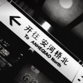 山河老赵 - 安河桥