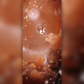 长安一杯酒 - 女驸马·她与她的花烛前