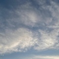 NEMY金属怪兽 - 9pm 11-24-21