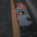 李佳龙Jog - 欢