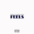 lostkid、Fredrick Mulla - Feels (Explicit)