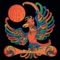 Rare Bird - Beautiful Scarlet