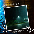 The Rain Library、Worldwide Nature Studios、Pure Binaural Beats Sleep - Relax At Home: Gentle Night Rain - 2 Hours