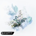 Michelle Ray、Lost.、Axel Hedfors、John Martin Lindstrom、Pop Mage、Sebastian Ingrosso、Steve Angello、Michel Zitron - Don't You Worry Child