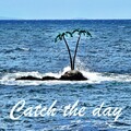Kinship - Catch the Day