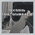 ГоспЛинь - Орбитальный круг
