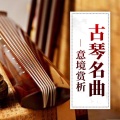 民族音乐 - 38.山水遗音之《沧海龙吟》