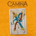 Camina (Suave y Elegante)