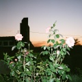 Felivand、Felicity Vanderveen、Chris Mazuera - Where Were You