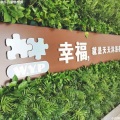 小白鸽 - 和乐儿童畅想曲