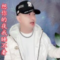 盘锦兵哥 - 想你的夜我睡不着