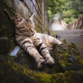 生而不凡 - 四方