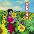 伊人家乡 - 故乡梦.同学情