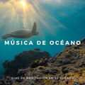Sonidos De Agua、Musica para Concentrarse、Relajante - Olas Gigantes En El Mar