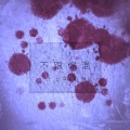 心妹、十七草 - 不跟你混（L.I.M.H Team）