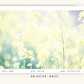 納蘭落雪 - 惊蛰