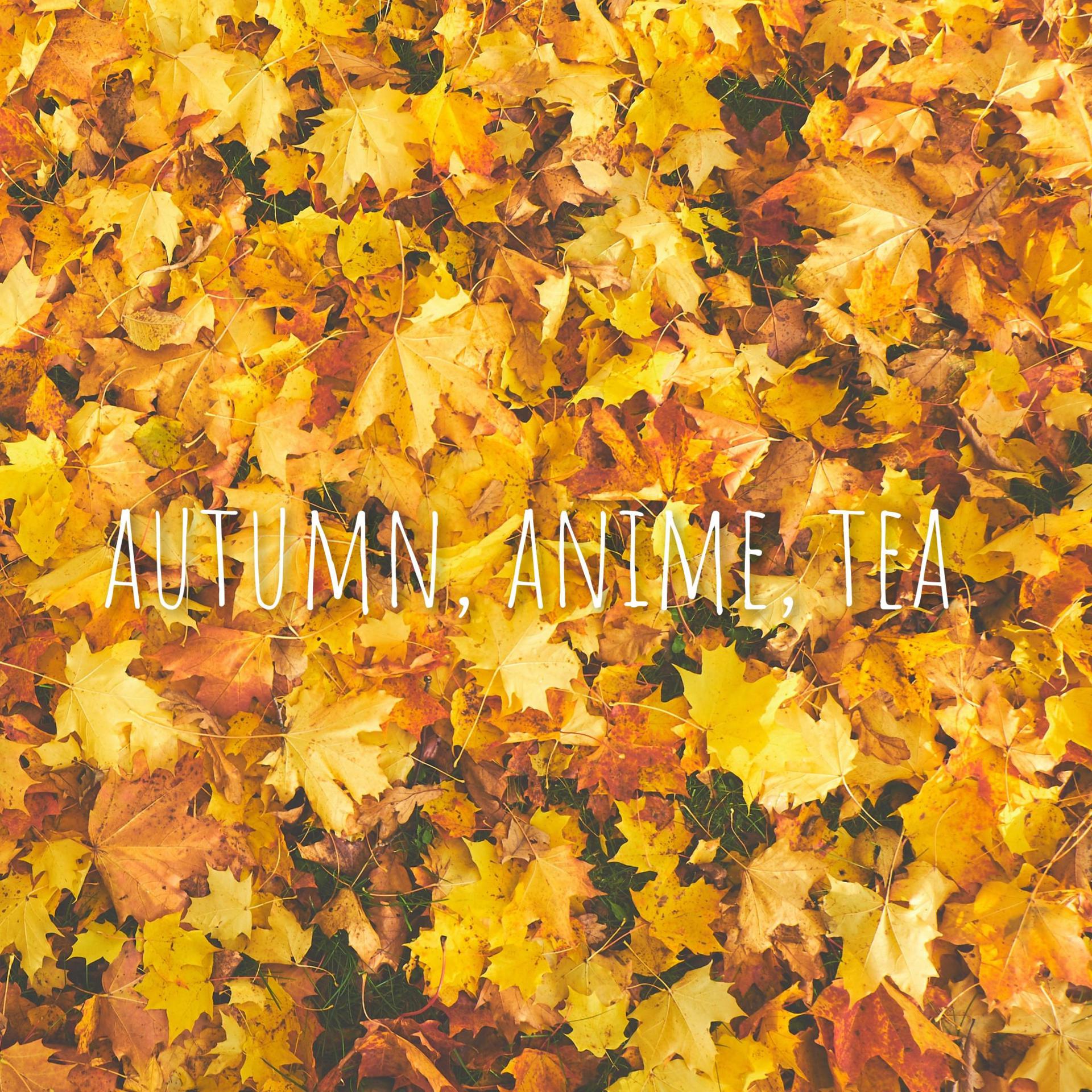 Nazaret - Autumn, anime, tea