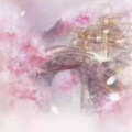 金木楠 - 故梦 (琵琶版)
