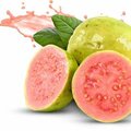 Archangelmichaelf - Guava