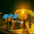 雨中泪