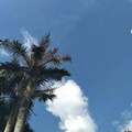 梓惜 - 往哪去