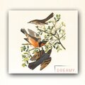 $MASH - Dreamy. (Explicit)