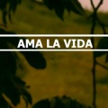 Ama la vida (feat. lali & artilleros)(Explicit)