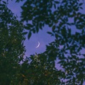 _是昕i - 星星失眠