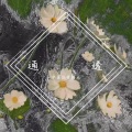 良帅 - 通透