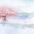 Lin - 金玉良缘