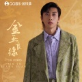 七叔（叶泽浩） - 金玉良缘