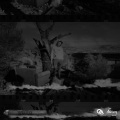 vtizzel、saucynosoy、Kantraban Kartel - Woodz